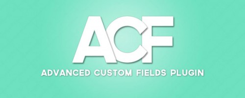 Nulled Advanced Custom Fields Pro v5.5.12 - WordPress Plugin  