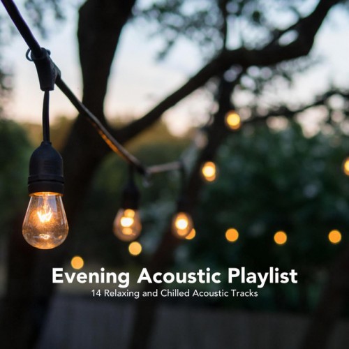 VA - Evening Acoustic Playlist. 14 Relaxing and Chilled Acoustic Tracks (2017)