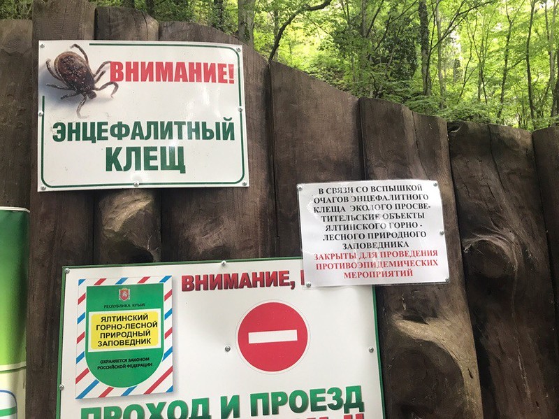 В Крыму прикрыт ход к знаменитому водопаду, в июне "заблокируют" туристические тропы [фото]