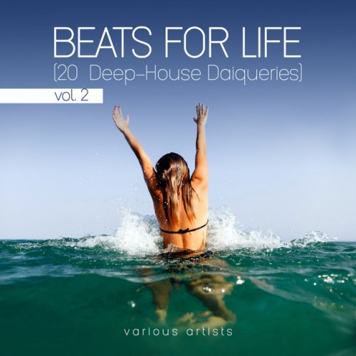 VA - Beats For Life Vol.2: 20 Deep-House Daiqueries (2017)