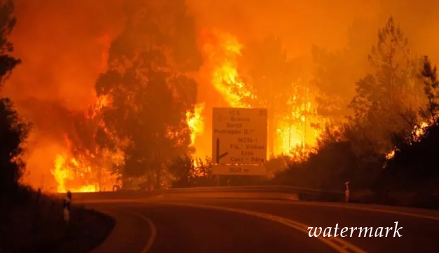 В Португалии возник сильнейший лесной пожар. Жрать бессчетные жертвы