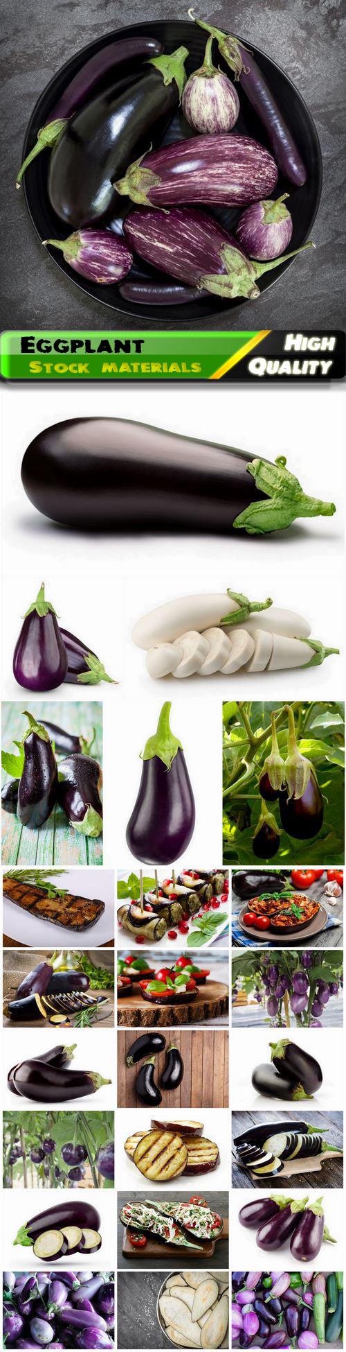 Eggplant vegetable or Pasleton is dark-fruited 25 HQ Jpg