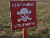 На Донбассе подорвался на мине грузовик - ОБСЕ