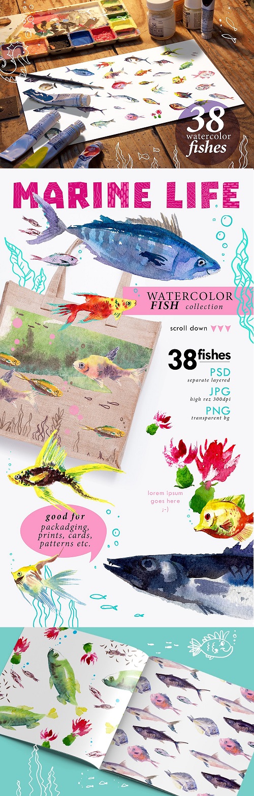 38 Watercolor Fishes - 1522781