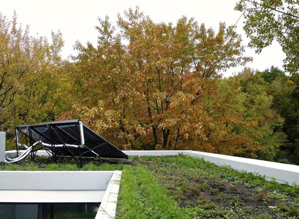 Экологический дом sustainable montreal house: возможность создания эргономичного и природосберегающего жилья, монреаль, канада