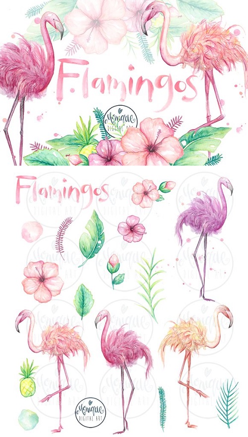 Flamingo clipart, watercolor 1572835