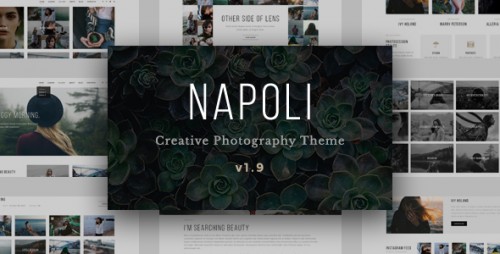 Nulled Napoli v1.9.8 - Modern Photography Portfolio Theme photo