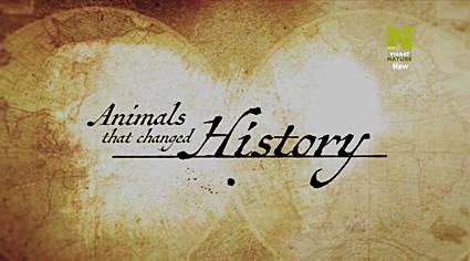  Животные, которые изменили историю (2015) HDTVRip    