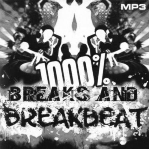 1000 % BreakBeat Vol. 134 (2017)
