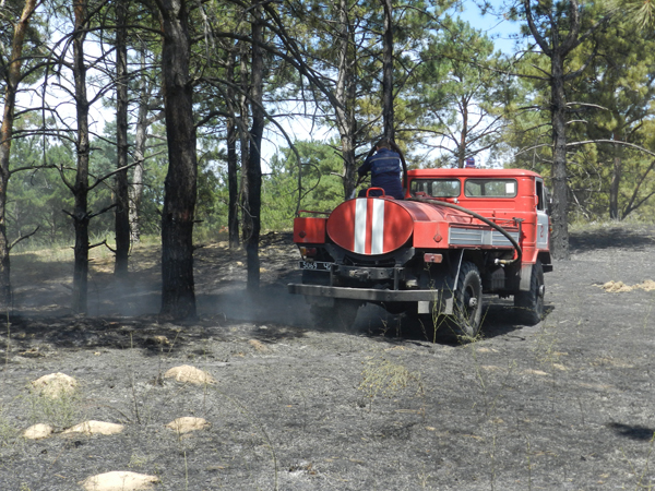 Масштабный лесной пожар на Херсонщине удалось локализовать, однако его площадь возрастила в 10 раз