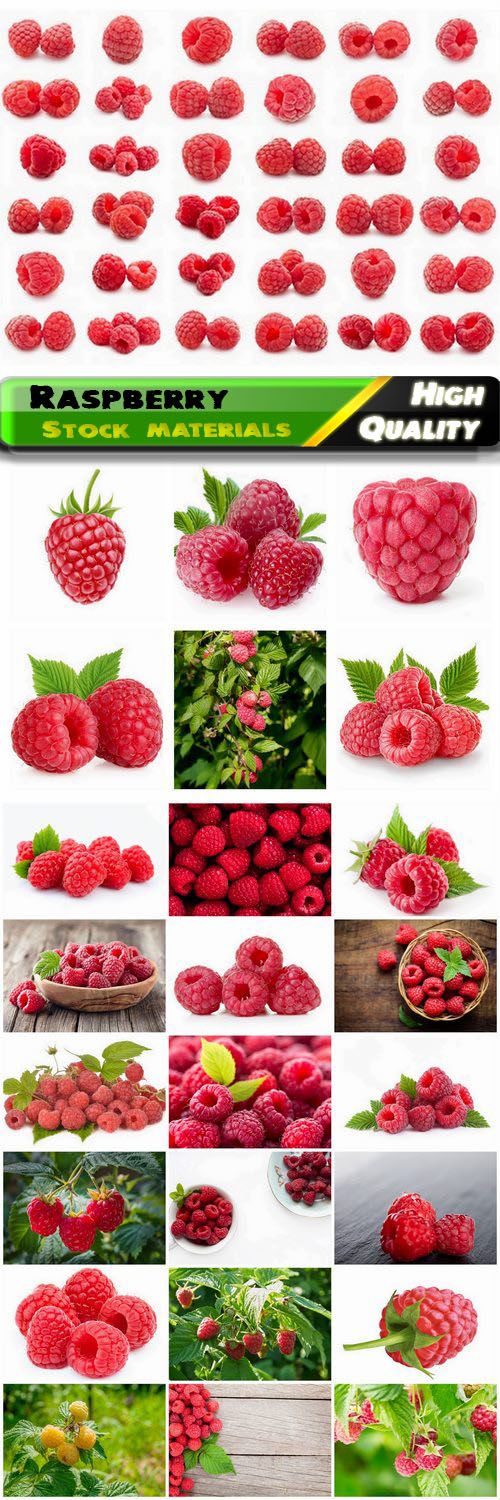 Berries and bushes of raspberry fruit 25 HQ Jpg
