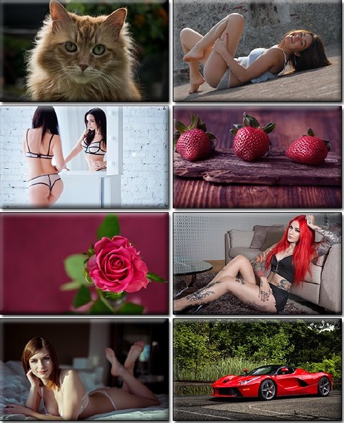 LIFEstyle News MiXture Images. Wallpapers Part (1258)