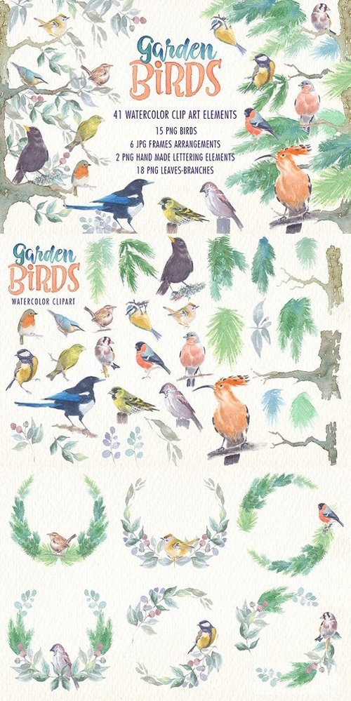 Garden birds watercolor clipart 1632390