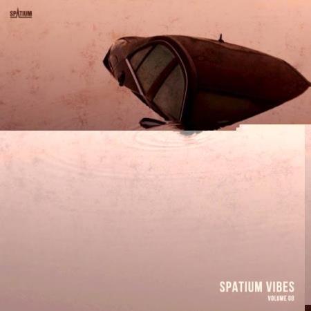 Spatium Vibes, Vol. 8 (2017)