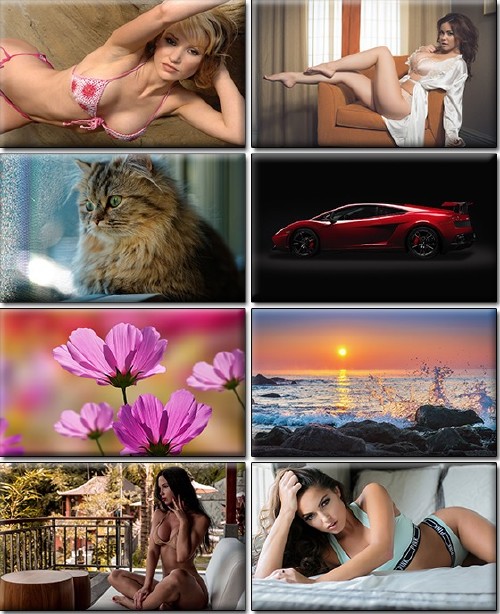 LIFEstyle News MiXture Images. Wallpapers Part (1261)