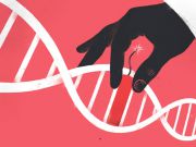 В США ученые выслали из ДНК человечьего эмбриона ген, отвечающий за заболевание сердца / Животрепещуще / Finance.UA