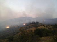 В аннексированном Крыму пламенеют леса