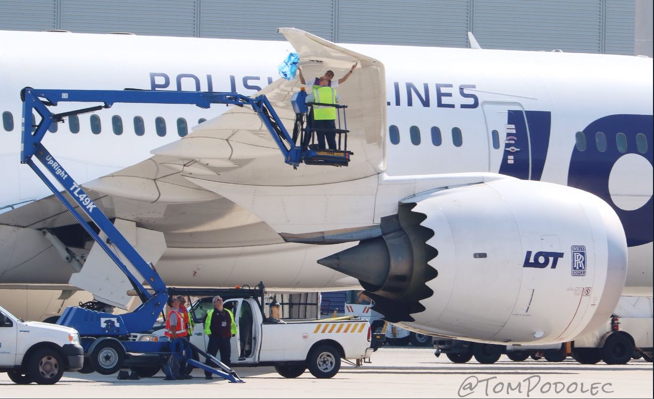 В аэропорту Торонто столкнулись пассажирские аэропланы: фото