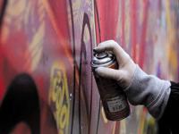 В Киеве граффитчики с битами застопорили электричку на полчаса, размалевав вагоны(фото)