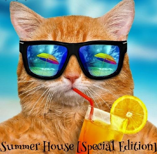 Summer House: Special Edition (2017)
