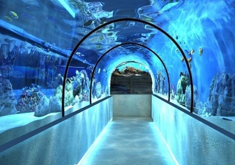 В Крыму детвора 1 сентября могут дарма побывать аквариум и мини-зоопарк