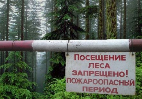 В Крыму вновь завели воспрещение на визит лесов