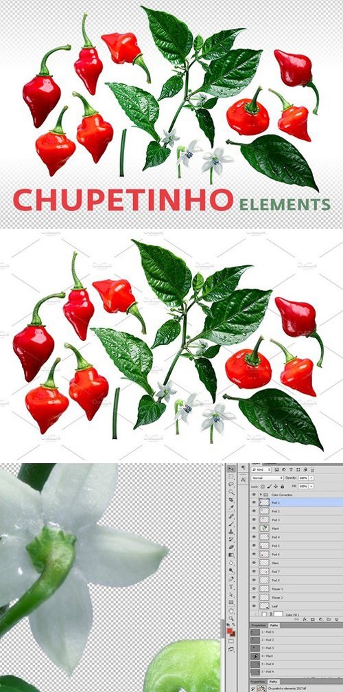 Chupetinho elements 1867877