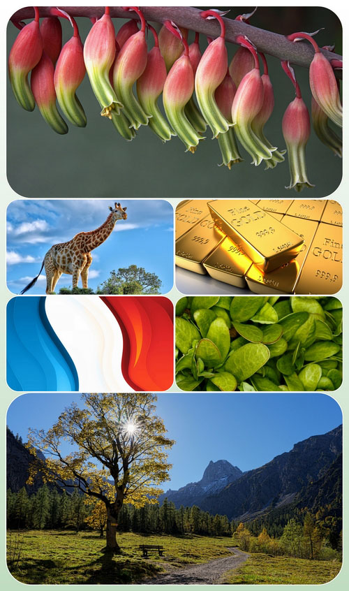 Beautiful Mixed Wallpapers Pack 532