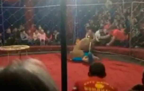 В России львица напала на ребенка в цирке