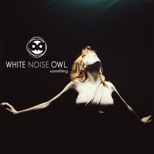 White Noise Owl - Something (Single) (2017)