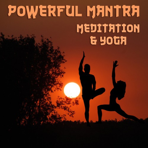 VA - Powerful Mantra Meditation & Yoga: 111 The Best Tracks for Deep Concentration Sleep & Relaxation (2017)