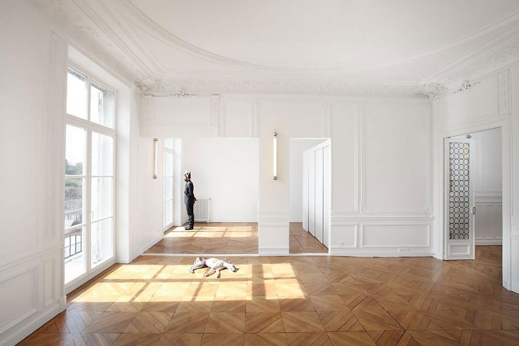Шикарный дизайн гигантской квартиры napoleon flat от freaks freearchitects, париж, франция