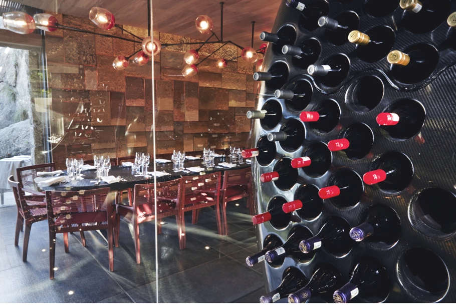 Роскошная винная галерея в ellerman house, кейптаун, юар – современные апартаменты для бахуса