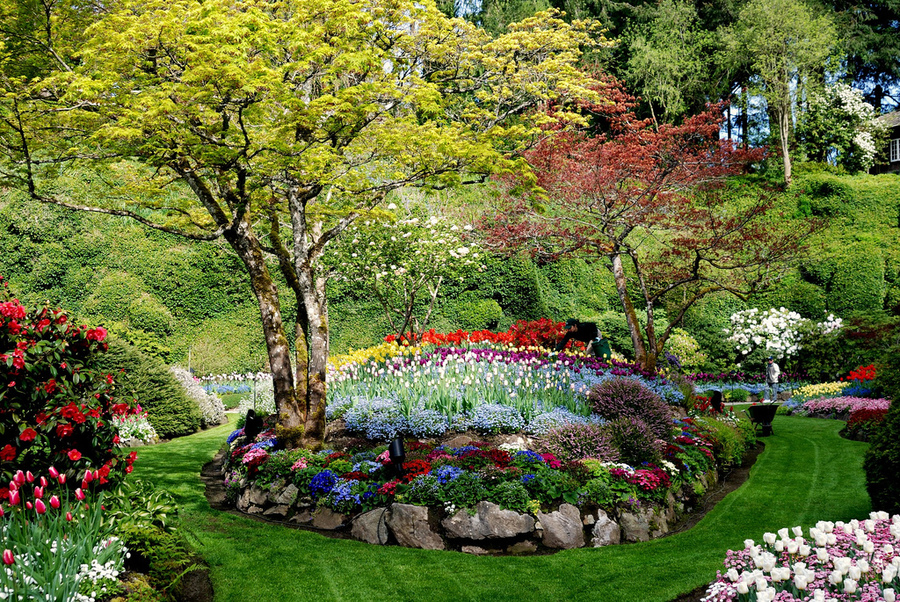 Горячие цвета прохладной канады: потрясающие пейзажи знаменитых butchart gardens