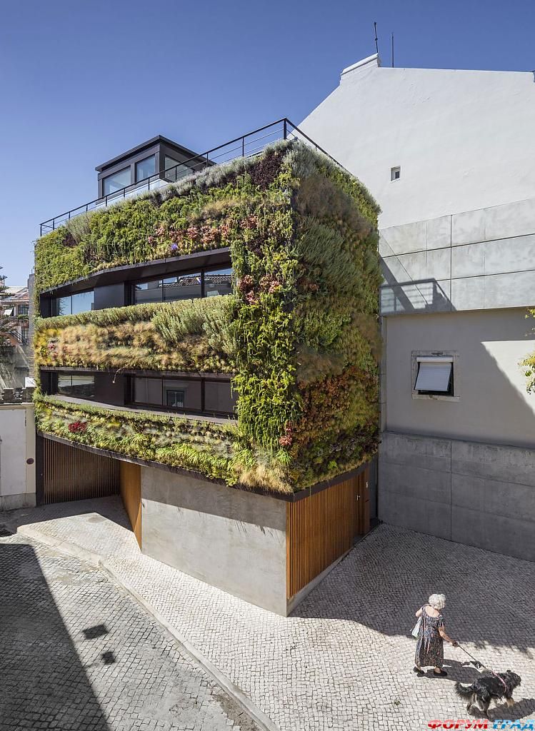 Декорирование фасада дома: загадочные тайны особняка за зелёным занавесом, лиссабон, португалия