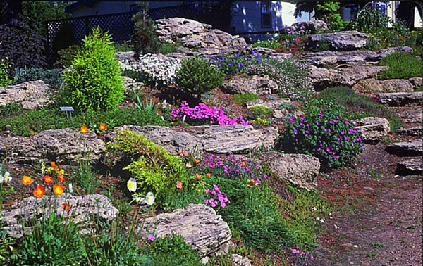 Восхитительный сад камней. 20 превосходных идей для создания уникальных композиций