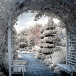 Зима для садовода — не повод расслабляться