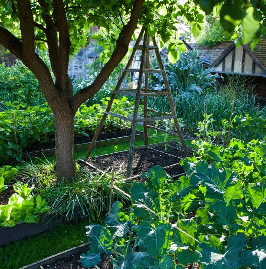 Когда сад наполняется теплом и уютом: применение свободного кантри-стиля в ландшафтной архитектуре