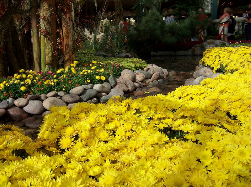 Впечатляющие цветники и неисчислимые дизайнерские находки в садах гостинично-торгового комплекса белладжо, лас-вегас
