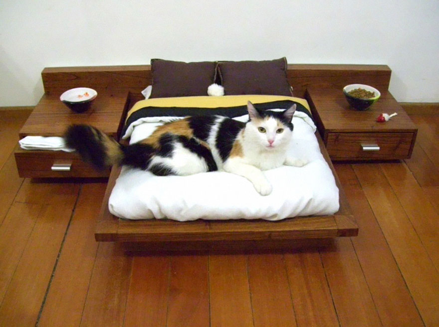 25 Неожиданных мебельных идей для котов и их хозяев