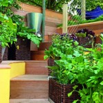 Дизайн-идеи красивых домашних огородов