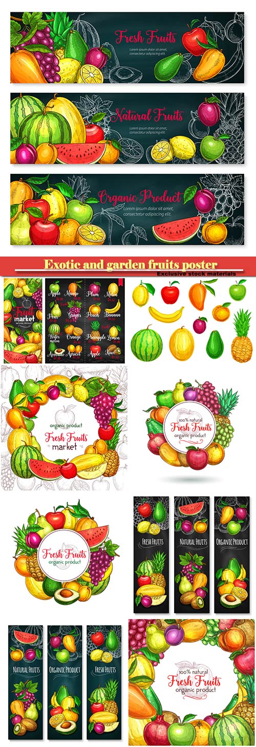 Exotic and garden fruits poster of melon, apricot or apple and avocado, tro ...