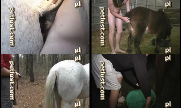 Horse mare porn
